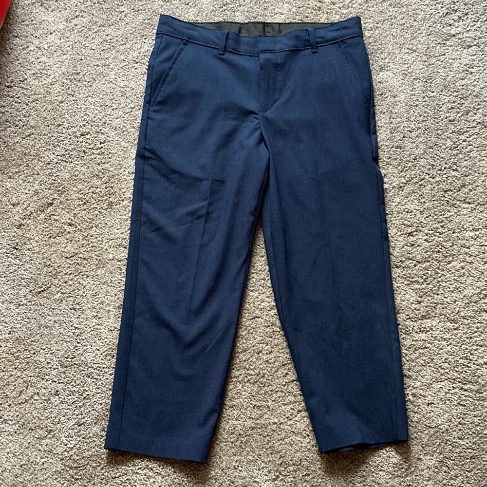 Blue Van Heusen Dress Pants